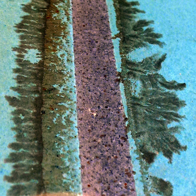 Ratebild 2013/02, Andrea Kamphuis