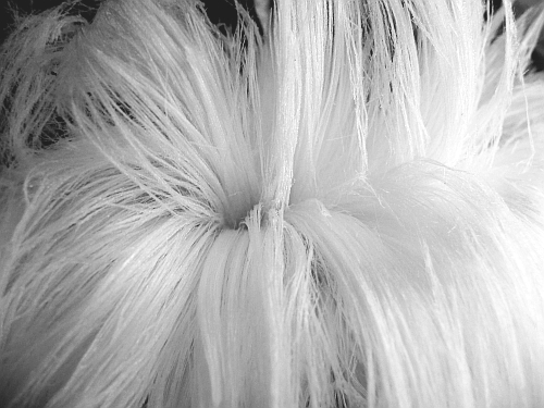 (c) Andrea Kamphuis Ratebild Januar 2009