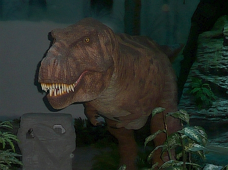 Tyrannosaurus-Figur im Odysseum, (c) Andrea Kamphuis Tyrannosaurus-Figur im Odysseum