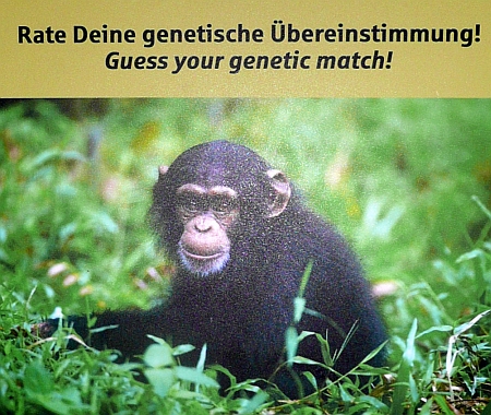 (c) Andrea Kamphuis Odysseum, Rate Deine genetische Übereinstimmung