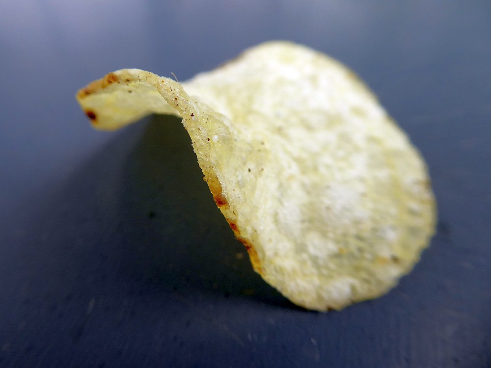Chips; (c) Andrea Kamphuis
