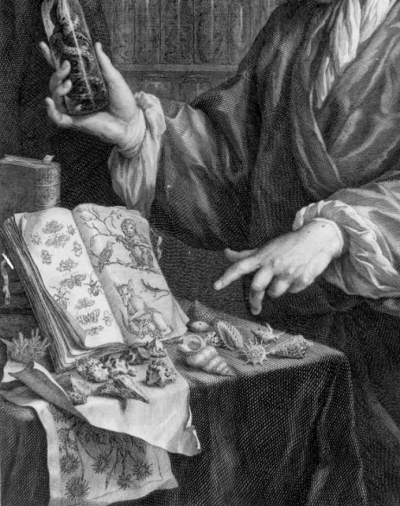 Kupferstich von Jakob Houbraken: Porträt des Sammlers Albertus Seba